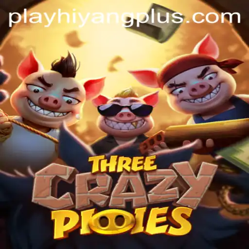 Experience the Thrill of 